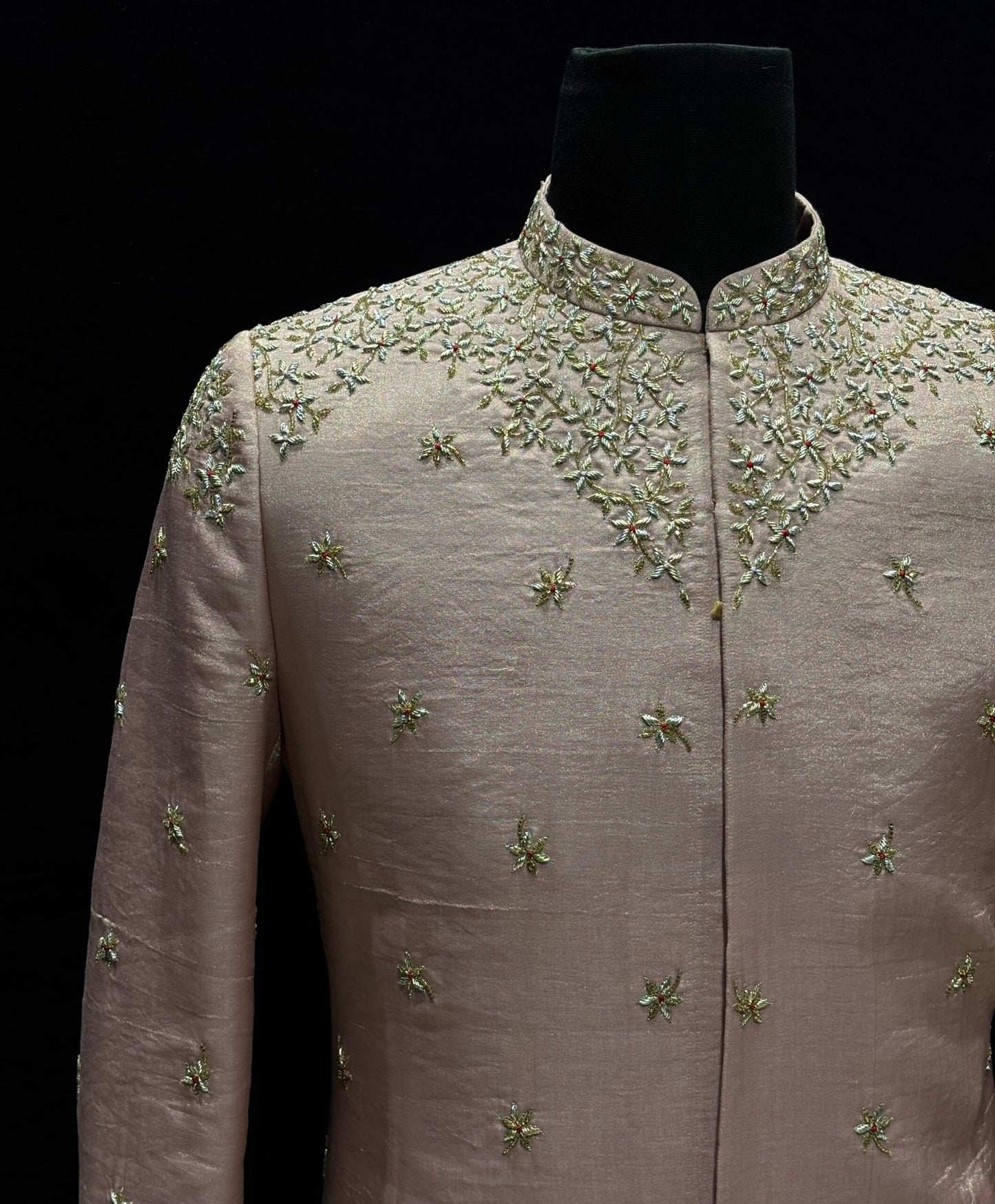 Vaishnavi Vilas Sherwani