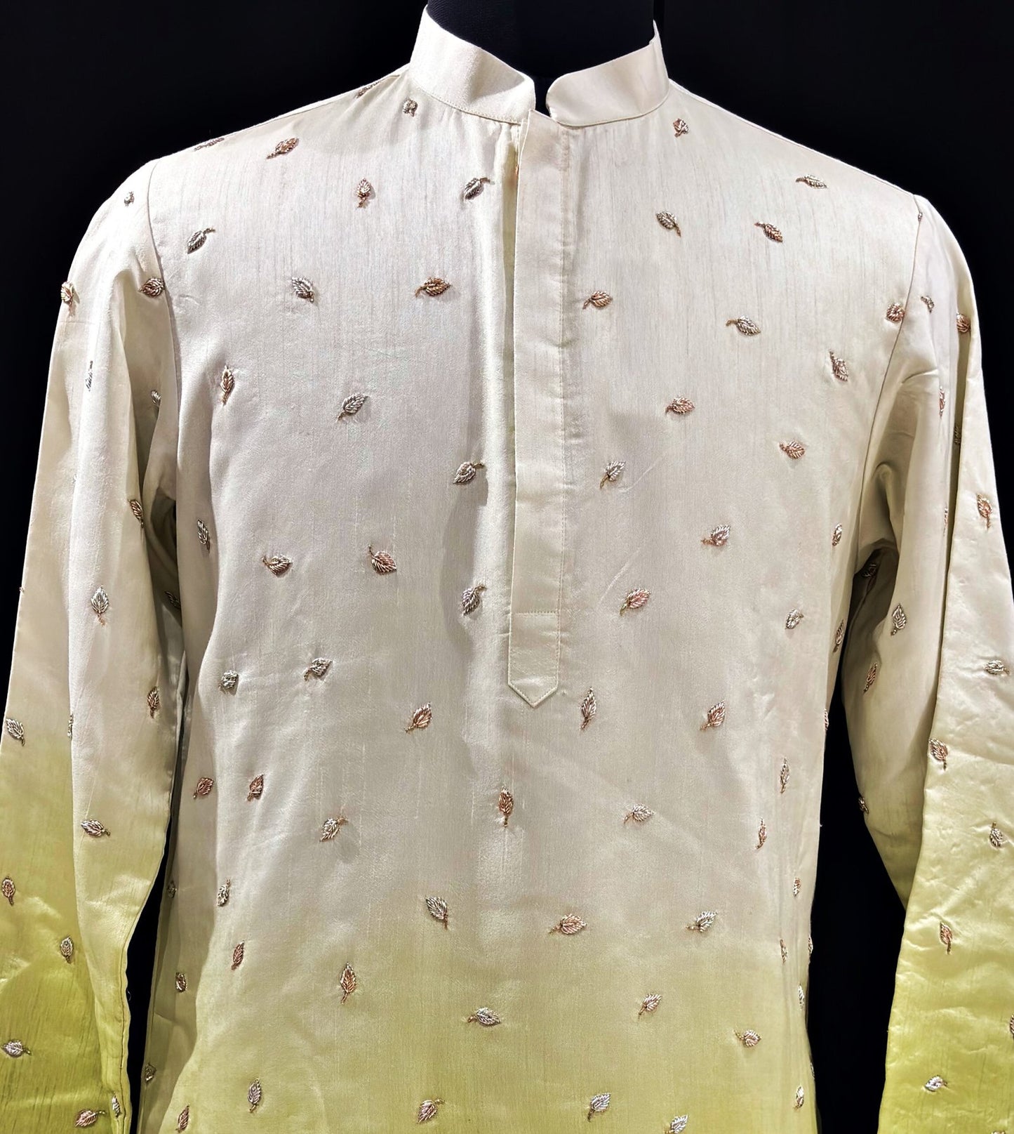 The Vanya Saavaranam