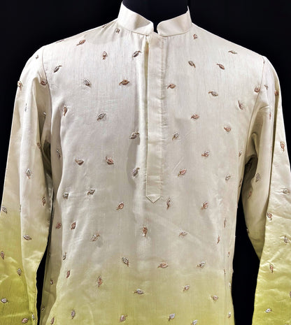 The Vanya Saavaranam